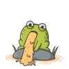 Mr Frog 13