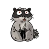 Raccoon 14