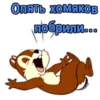 Опять хомяков
побрили...