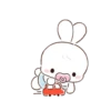 Bunny 23