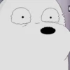 Ice Bear 21