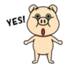 Crazy Funky Pig 16