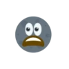 81