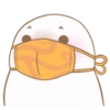 Little white seal 12