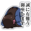 Hitoribocchi 11