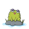 Mr Frog 14
