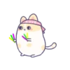 creamy kitty 21