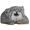 manul 6