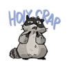 Raccoon 16