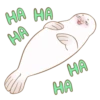 Little white seal 14