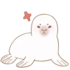 Little white seal 15