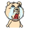 Crazy Funky Pig 20