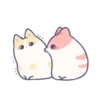 creamy kitty 23