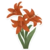 flowers 6