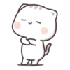 Cutie Cat - Chan 2 24