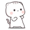 Cutie Cat-Chan 24