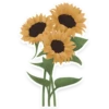 flowers 7