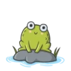 Mr Frog 16