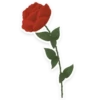 flowers 8