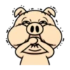 Crazy Funky Pig 24