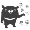 Cute Cute Bear 6