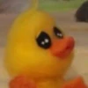 mofy duck 6