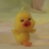 mofy duck 7