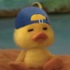 mofy duck 10