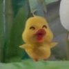 mofy duck 11