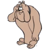 LooneyTunes 5