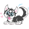 Husky 5