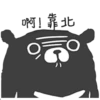 Cute Cute Bear 11