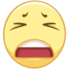 >
✓