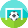 Football_icons 13