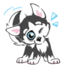 Husky 6