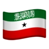 Flags 17