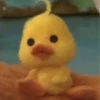 mofy duck 13