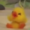 mofy duck 14