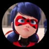 Miraculous ladybug 13