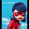 Miraculous ladybug 14