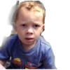 Gavin 6