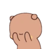 The Bear 13