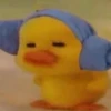 mofy duck 15