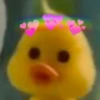 mofy duck 16