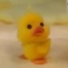 mofy duck 17