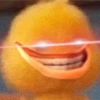 mofy duck 19