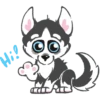 Husky 7