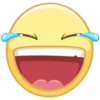 hatevk 13