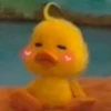 mofy duck 21
