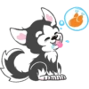 Husky 8
